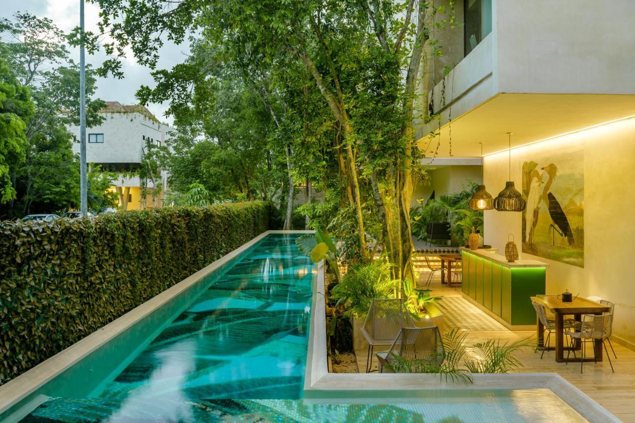 308-303 Beautiful Apartments With 3 Bedrooms Τουλούμ Εξωτερικό φωτογραφία
